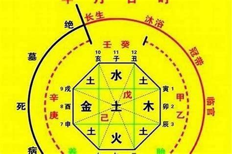 八字 命主|生辰八字算命、五行喜用神查詢（免費測算）